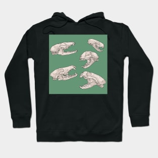 North American Predator Skulls Sage Hoodie